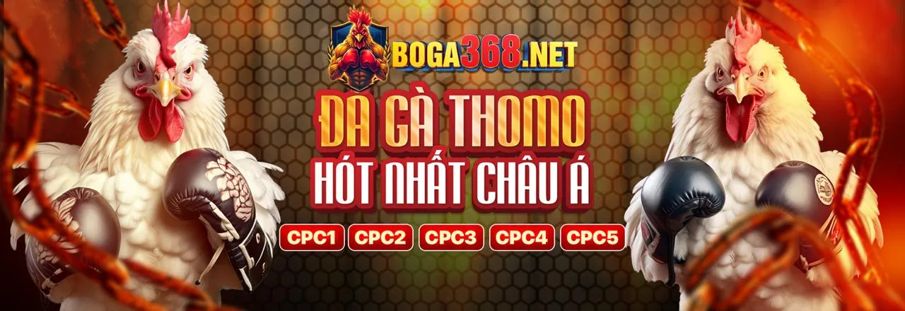 Đá gà trực tuyến zo88 link mới, các trận đấu kịch tính